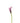 Calla Lily Mini, Lavender