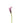 Calla Lily Mini, Lavender