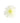Fuji Spider Mum, White