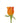 Rose, Orange Confidential