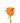 Rose, Orange Confidential