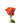 Rose, Orange Orange Crush